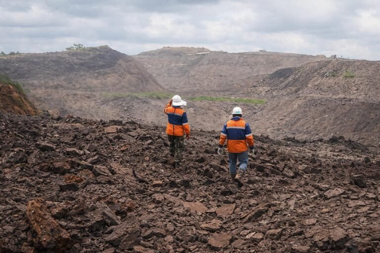 WhatsApp Image 2026-02-19 at 09.07